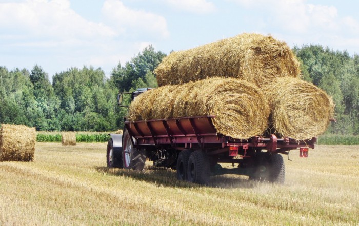Погрузчик-транспортировщик рулонов сена БобруйскАгроМаш ТП-10-1