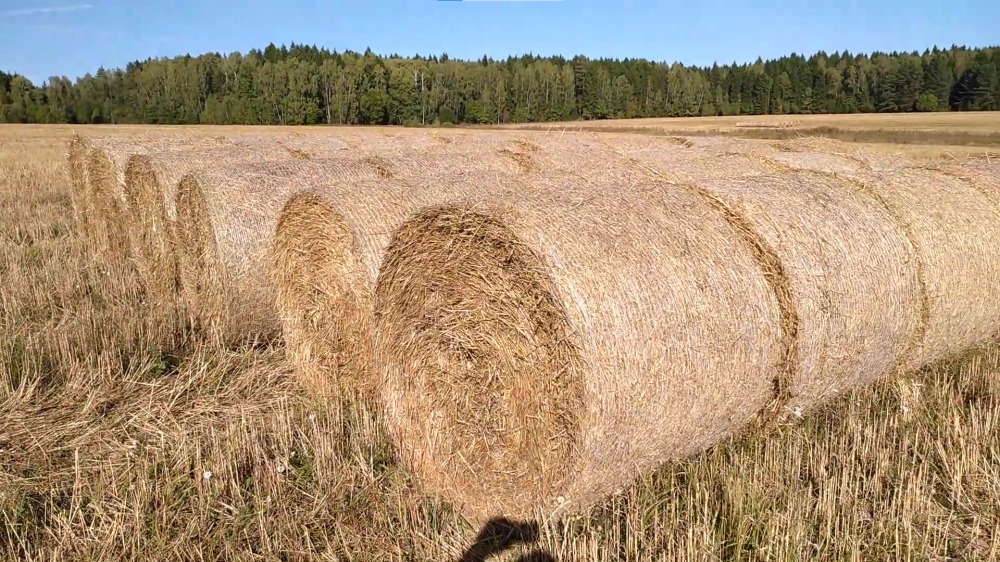 Сетка сеновязальная для пресс-подборщика