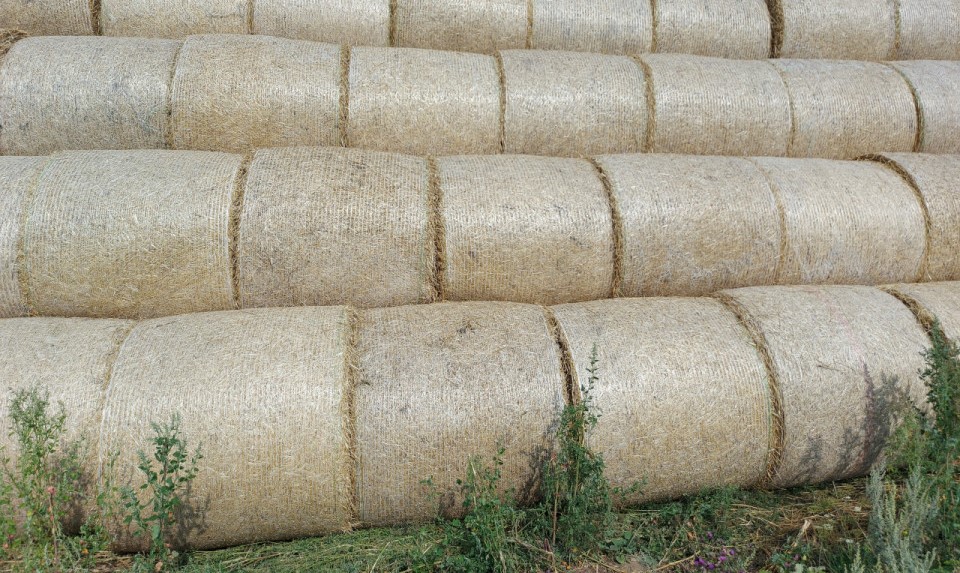 Сетка сеновязальная для пресс-подборщика