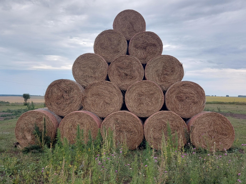 Сетка сеновязальная для пресс-подборщика