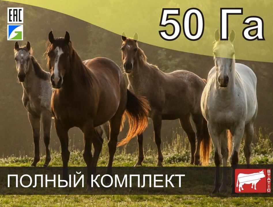 СТАТИК-3М для лошадей на 50 Га
