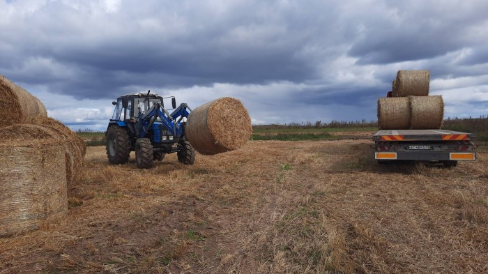 Вилы универсальные с регулируемой пикой