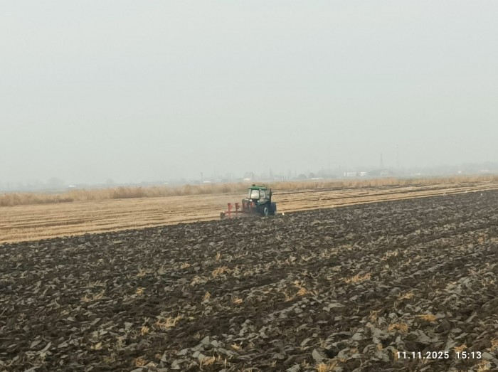 Трактор Агроаполло G1604